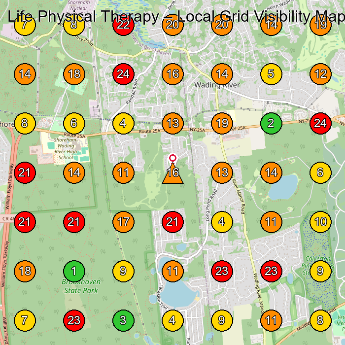 Life Physical Therapy Physical Therapist GeoGrid ranking map for Wading River NY